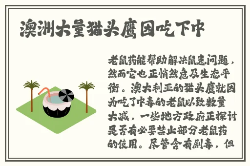 黑土腿法部位娴熟